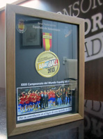 Reconocimiento de la Federación Española de Balonmano